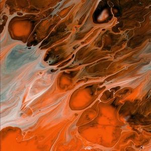 Meet your Posher, Marleigha